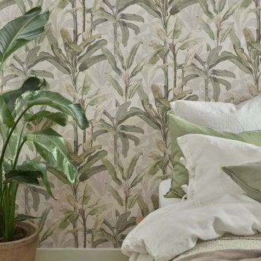 Graham & Brown Botanical Powder Wallpaper 118031