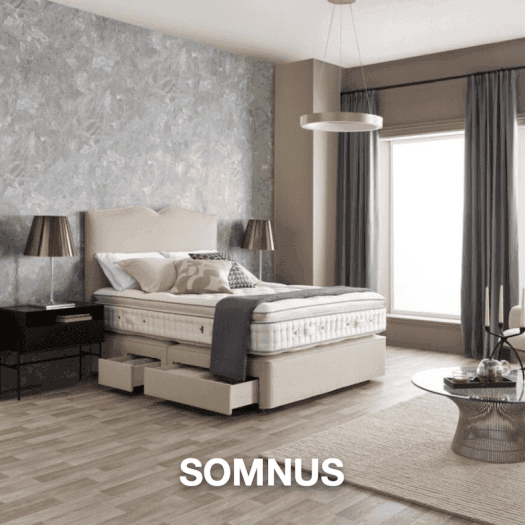 Somnus