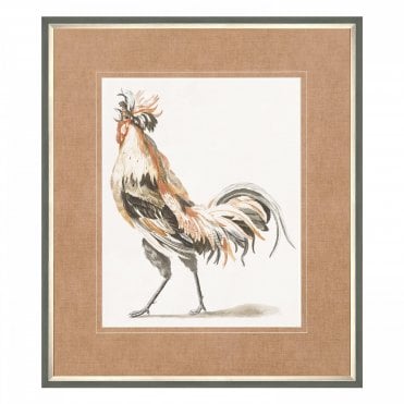 Proud Plumage